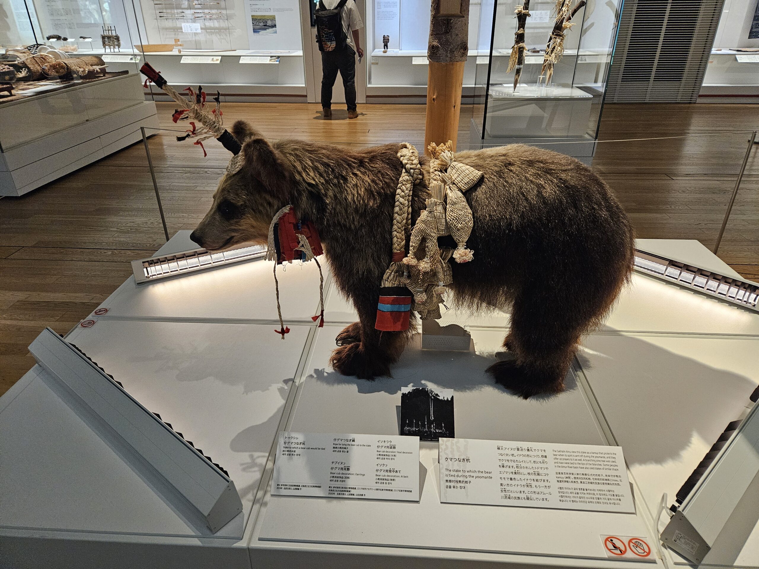 アイヌ文化の展示